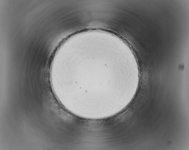 X0000112910832200910051040