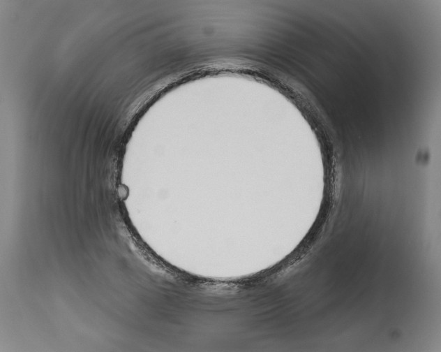 X0000112910833200910051040