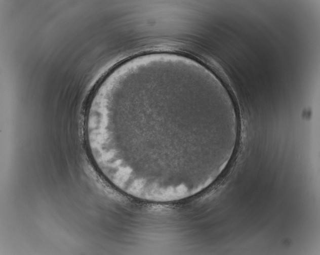 X0000112910835200910051041
