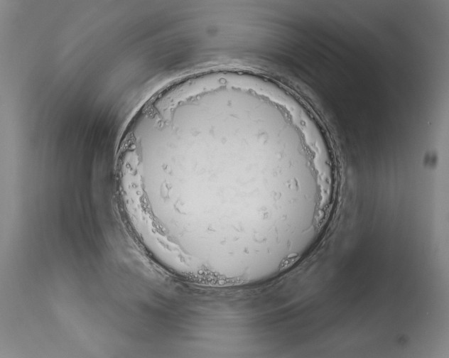 X0000112910836200910051041