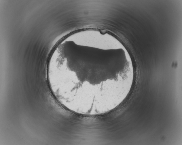 X0000112910838200910051041
