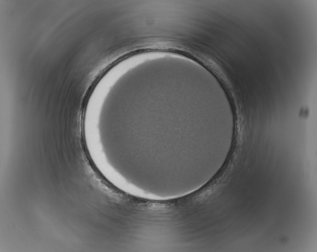 X0000112910839200910051041