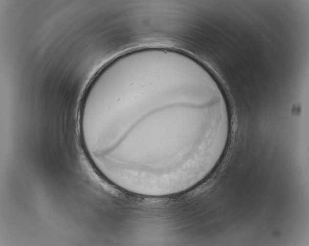 X0000112910840200910051041