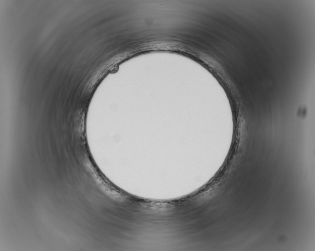 X0000112910841200910051041