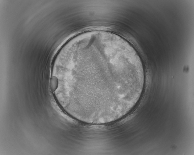 X0000112910844200910051041