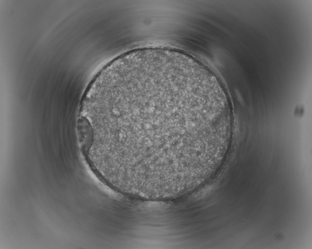X0000112910847200910051041