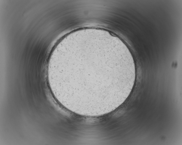 X0000112910848200910051041
