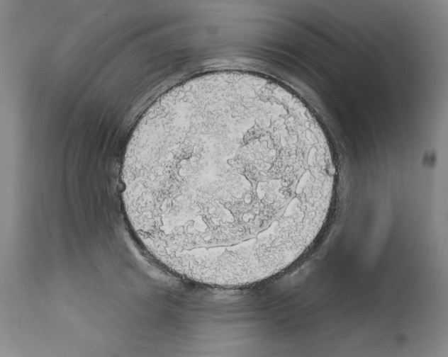 X0000112910849200910051041
