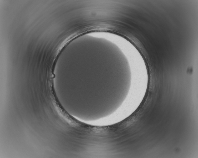 X0000112910850200910051041
