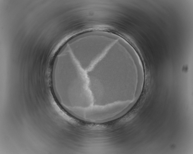X0000112910851200910051041
