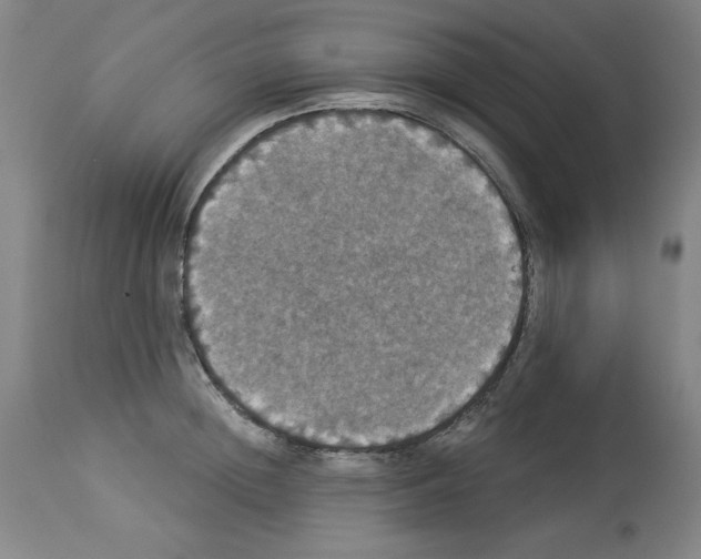 X0000112910852200910051041
