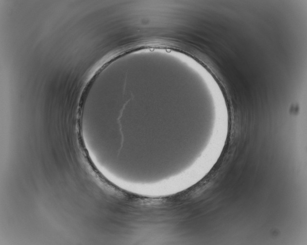 X0000112910853200910051041