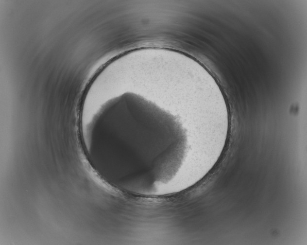 X0000112910854200910051041