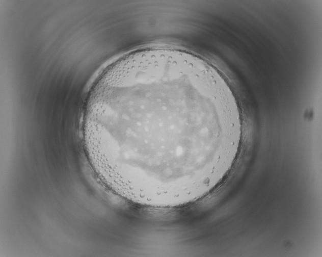 X0000112910856200910051041