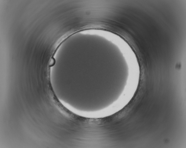 X0000112910858200910051041