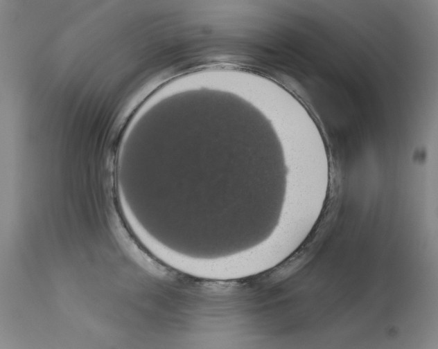 X0000112910859200910051041