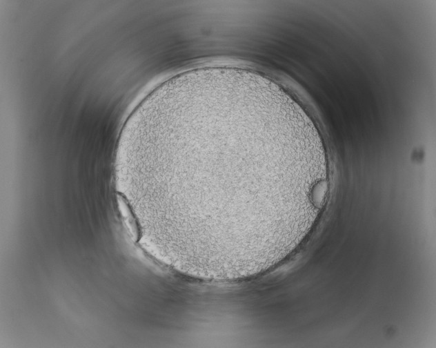 X0000112910860200910051041