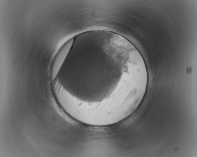X0000112910862200910051041