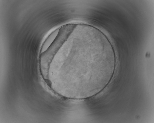 X0000112910864200910051041