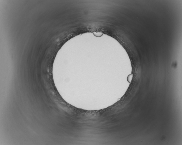 X0000112910865200910051040