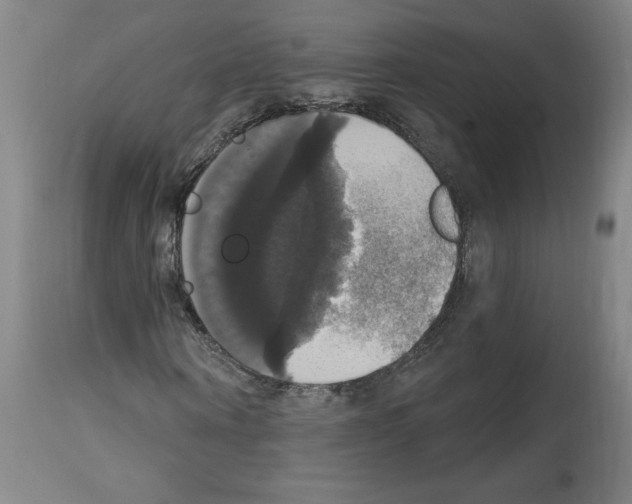 X0000112910866200910051040