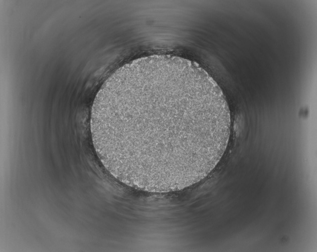 X0000112910867200910051040