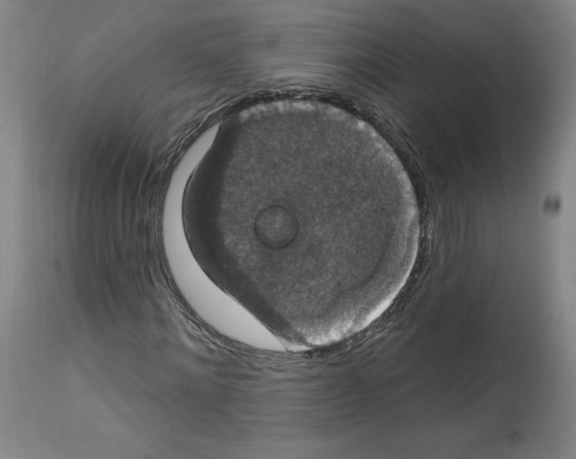 X0000112910868200910051040