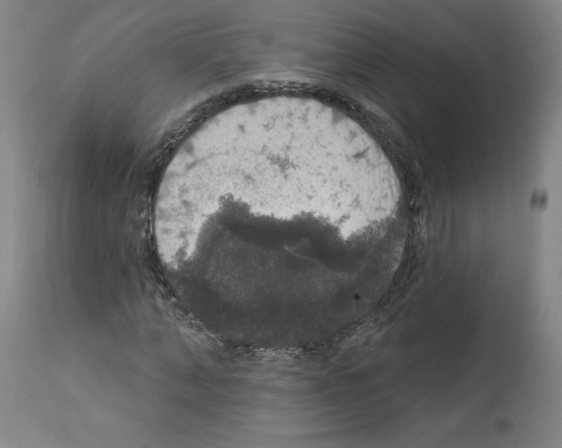 X0000112910870200910051040
