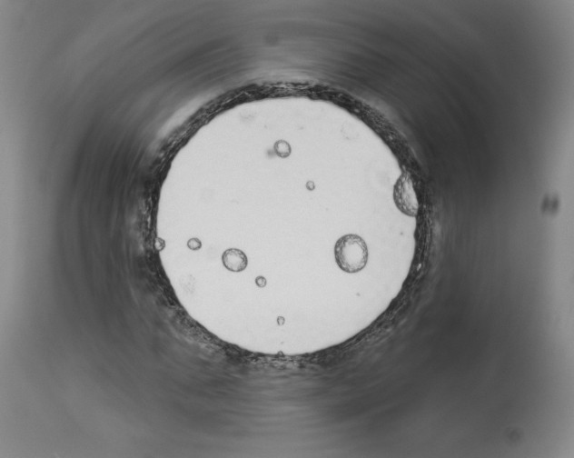 X0000112910871200910051040