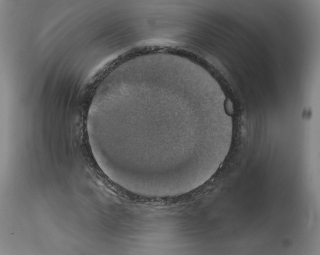 X0000112910872200910051040