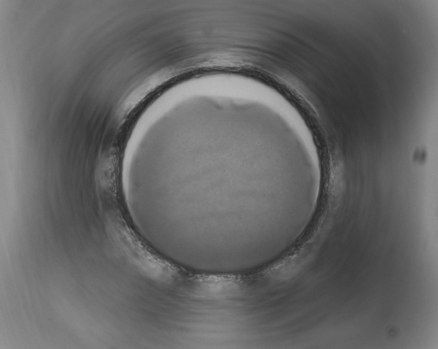 X0000112910874200910051040