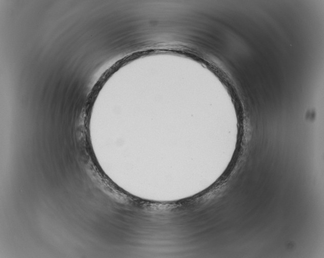 X0000112910875200910051040