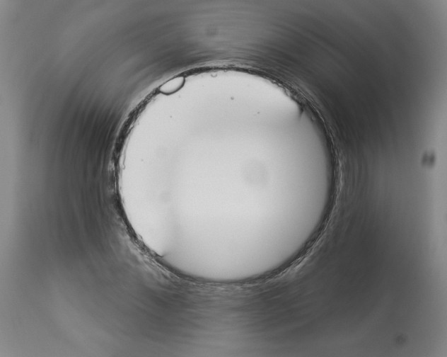 X0000112910876200910051040