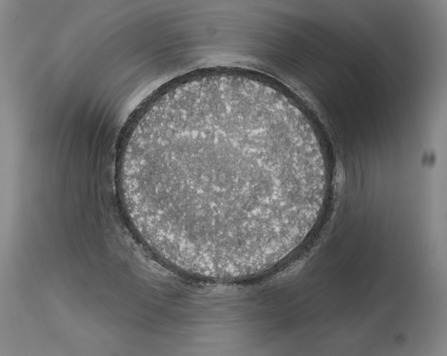 X0000112910877200910051040