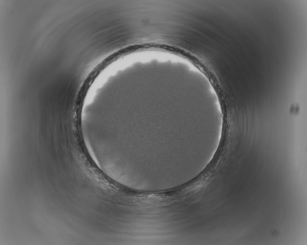 X0000112910879200910051040
