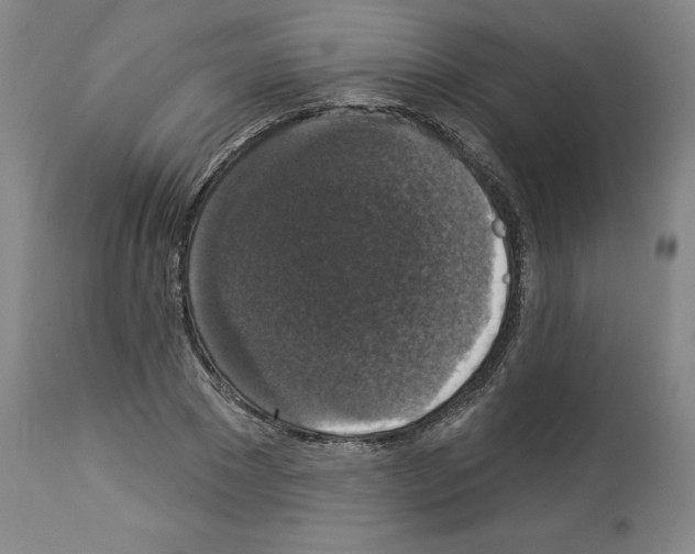 X0000112910881200910051040