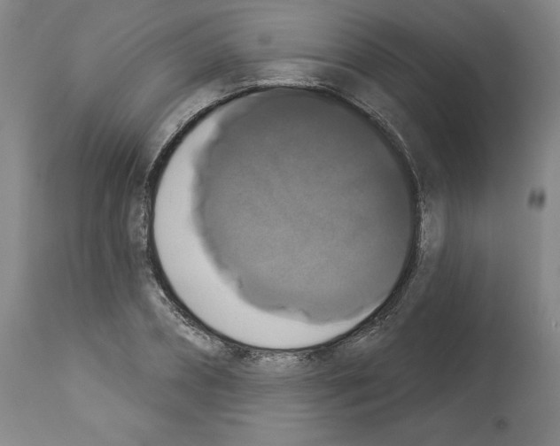 X0000112910882200910051040