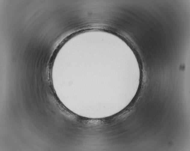 X0000112910883200910051040