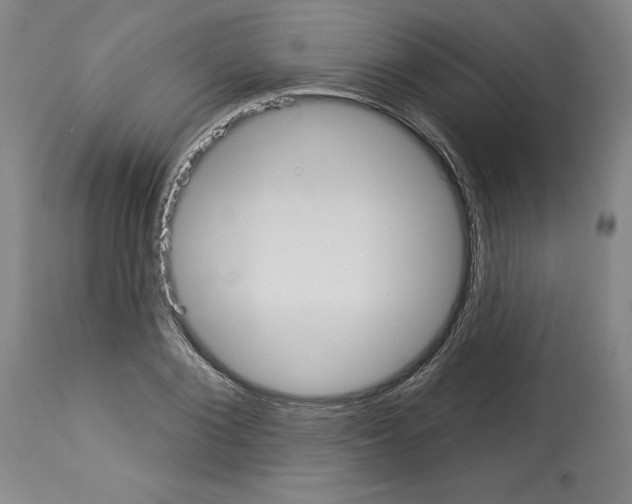X0000112910884200910051040