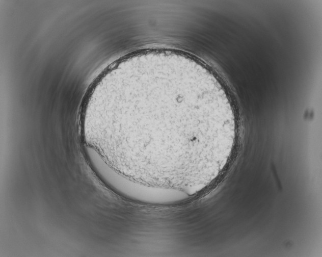 X0000112910885200910051040