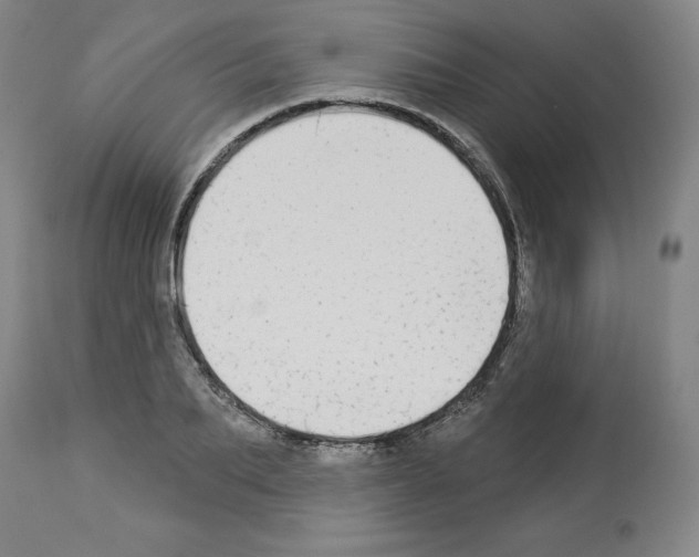 X0000112910887200910051040