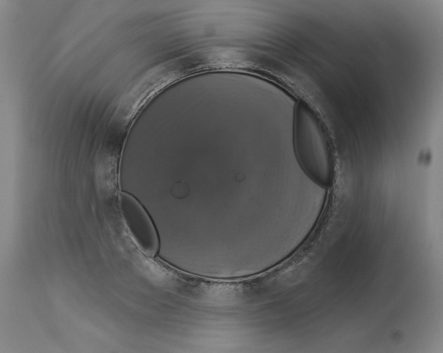 X0000112910889200910051040