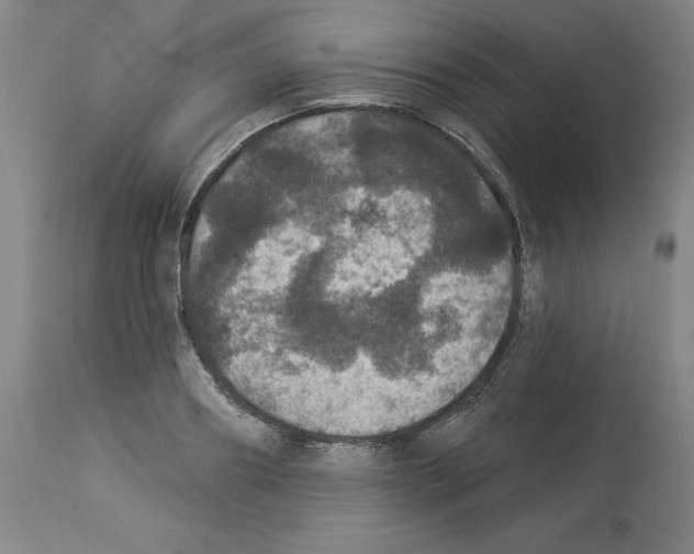 X0000112910890200910051040