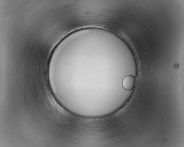 X0000112910892200910051040