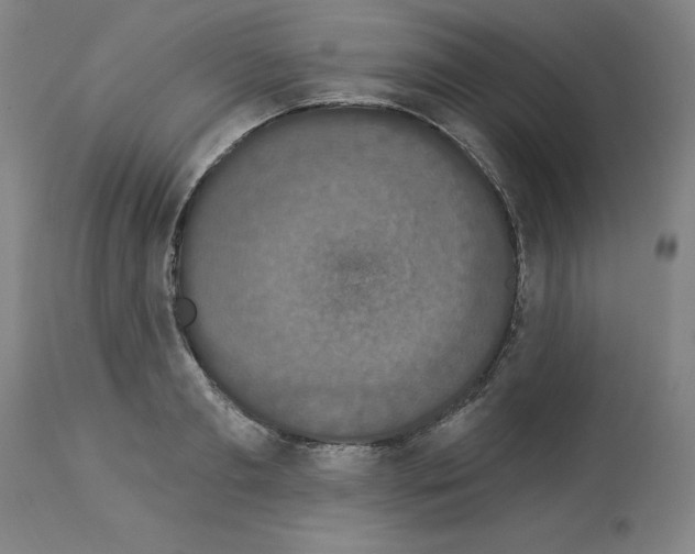 X0000112910893200910051040