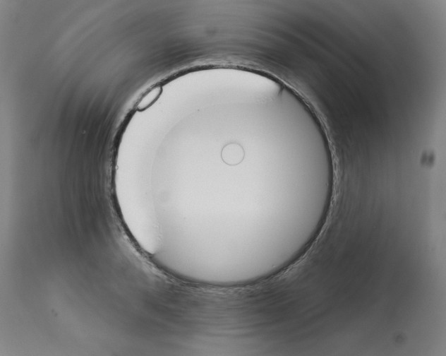 X0000112910896200910051040