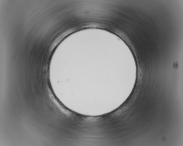 X0000112910898200910051040
