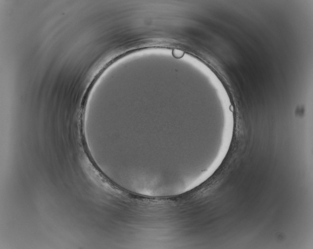 X0000112910899200910051040