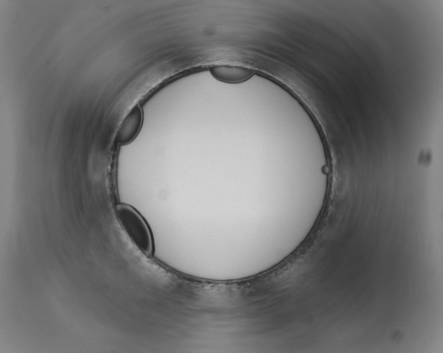 X0000112910901200910051040