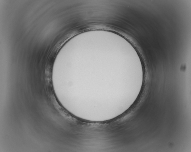 X0000112910905200910051040